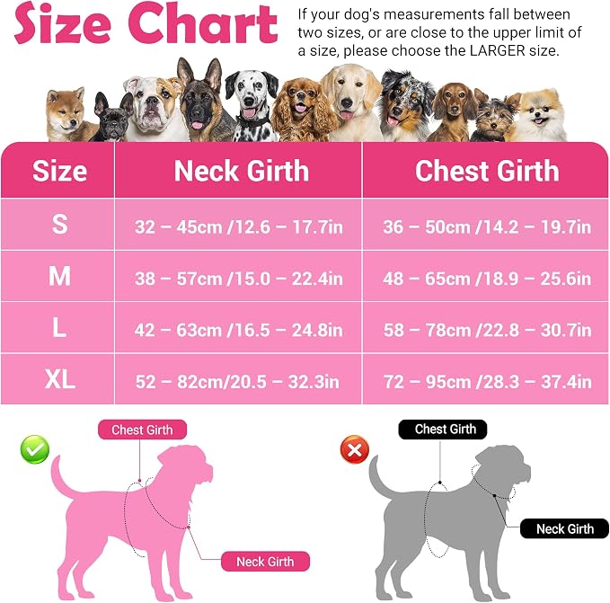 Dog Harness No Pull, Adjustable Pet Vest Harness, Super Soft Material with Vertical Handle Easy Control, Reflective Night Walking, 2 Leash Clips for Medium Sized Dogs, Pink, M - Image 2