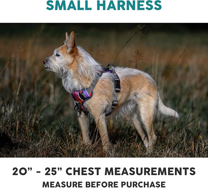 Embark No Pull Dog Harness, Reflective Adjustable Training Vest, No Choke | Adjustable straps fit all dog breeds with sturdy hooks; 360° reflective trim, soft padded Harness Design for All Dogs - Image 2