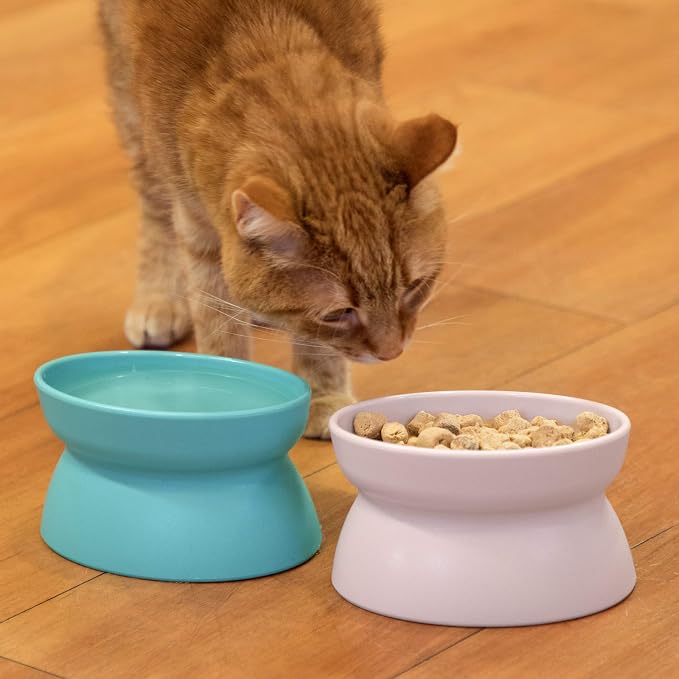 Kitty City Elevated Cat Bowls (Set of 2), Whisker-Friendly Raised Cat Food & Water Dishes, Modern Pedestal Design, Dishwasher Safe, 6.5 oz Each – Teal & Light Pink - Image 3