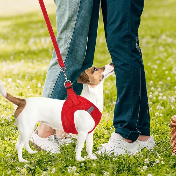 PUPTECK Dog Harness, Collar and Leash Set No Pull for Small Medium Sized | Soft Mesh Puppy Step-in Escape Proof Reflective No Choke Pet Cat Adjustable Walking Vest - Image 7