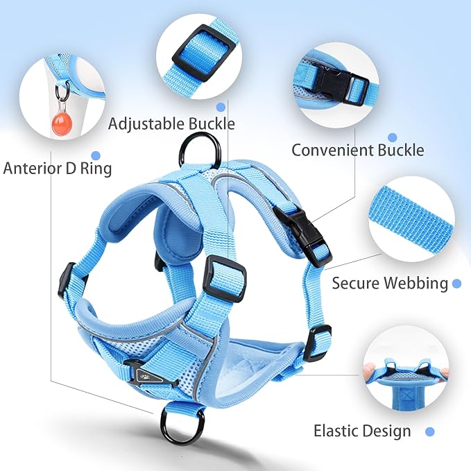 Dog Harness Small Sized Dog Pet Vest with Leash Set Blue S | Adjustable Puppy Vest Harness, No Choke No Pull, Soft Padded, Step-in Dog Vest, Reflective Cat Harness, Breathable Air Mesh - Image 3