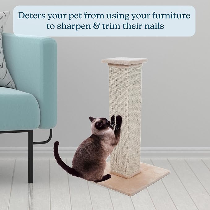Cat Scratching Post with Carpeted Base - 27.75-Inch Sisal Burlap Fabric Scratcher - Furniture Scratching Deterrent for Indoor Cats by PETMAKER (Beige) - Image 3