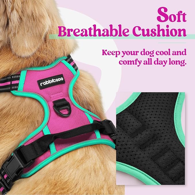rabbitgoo Dog Harness, No Pull for Large Dogs with 2 Leash Clips, Pet Vest | No Choke with Handle, Adjustable Soft Padded, Reflective, Easy Control for Walking, Hot Pink & Turquoise, X-Large - Image 2