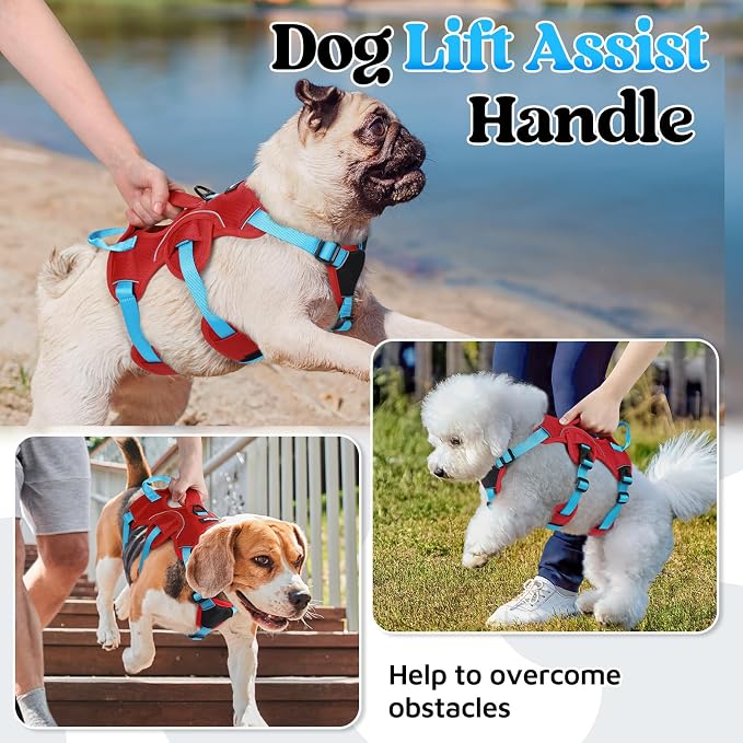 rabbitgoo Escape Proof Dog Harness for Small, No Pull with Lift Handle | No Escape, Full Soft Padded, Reflective Adjustable Vest, Leash Clip for Walking Hiking Training, Sky Blue & Red, Small - Image 3