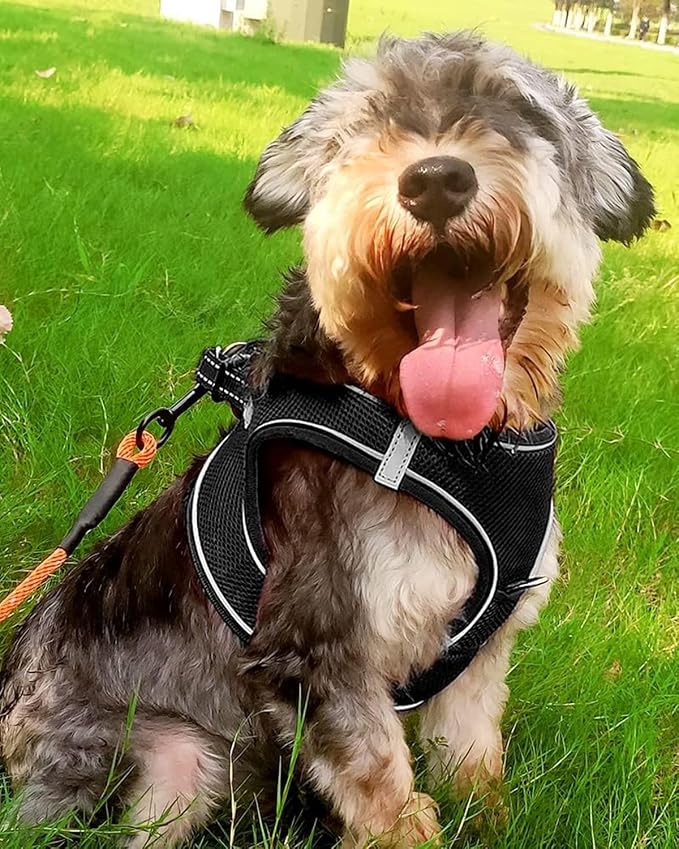 Joytale Step-in Dog Harness, Soft Breathable Mesh, Black L | Adjustable Fit for Small Dogs, Easy Step-in with Secure Fastener, Even Chest Pressure, Reflective For Night Safety, Washable - Image 2