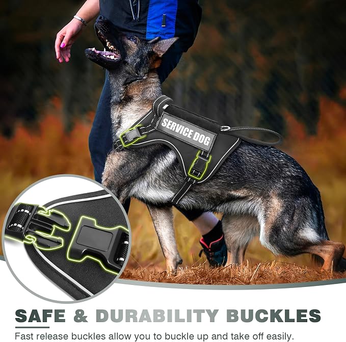 Tactical Dog Harness, No Pull Dog Harness for Medium Large Dogs with Handle & Molle, Military Service Dog Vest Harness in Training Pet Harness for Small Dogs - Image 4
