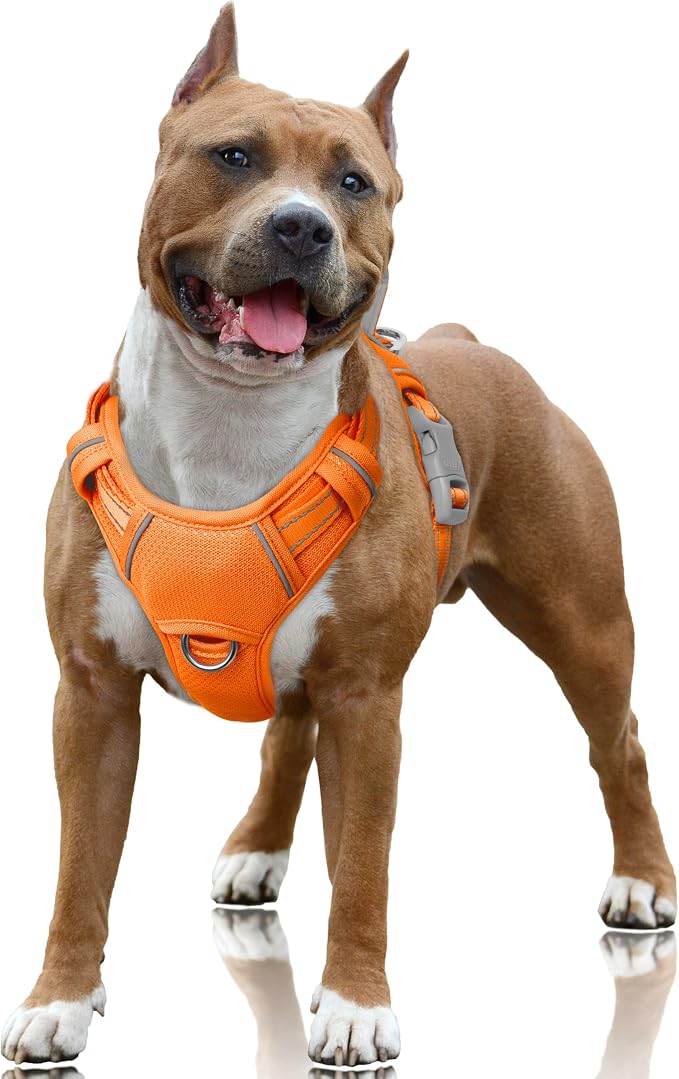 BARKBAY No Pull Dog Harness Large Reflective Dog Harness with Front Clip and Easy Control Handle for Walking Training Running with ID tag Pocket(Orange,L) by BARKBAY
