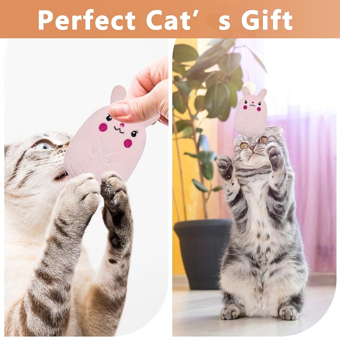 5pcs Catnip Toys, Funny cat Toy, bite Resistant cat Toys | Indoor Cartoon cat Toys for cat,cat chew Toys - Image 6