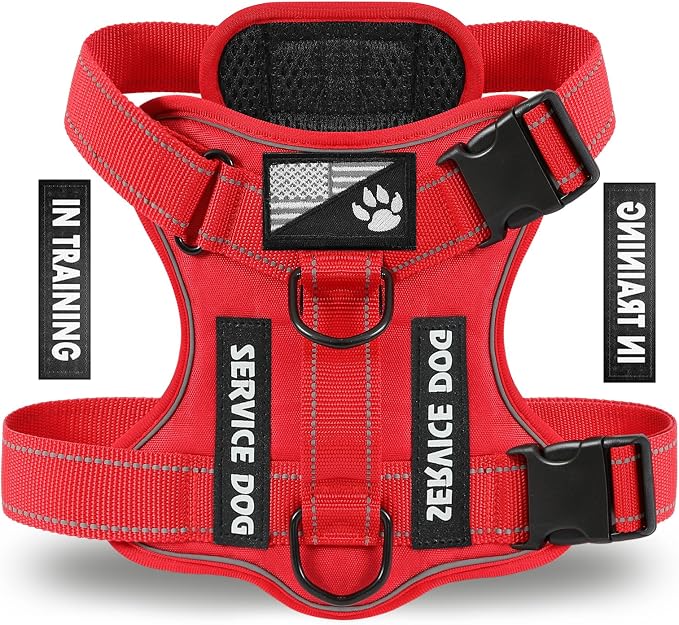 Service Dog Harness, Reflective Dog Vest Harness with 5 PCS Patches, Adjustable Soft Oxford Pet Harness, Inner Layer Mesh, Easy to Control for Dogs (All-RED, X-Small (Pack of 1)) by DemigreatLLC