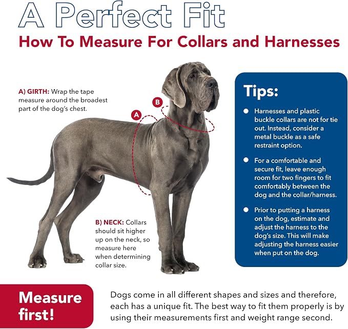 Coastal Pet Comfort Soft Sport Wrap Adjustable Dog Harness - Large & Small Dog Harness - Durable Harness for Dogs with Mesh Chest Pad - Grey with Blue, 5/8" x 16-19" - Image 7