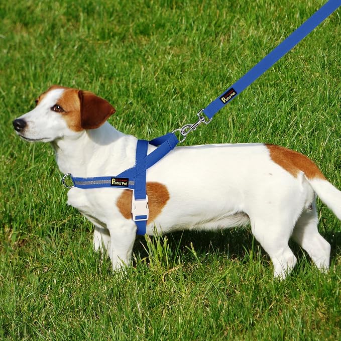 Plutus Pet Cotton Dog Harness and Leash Set, Reflective and Soft Padded, Quick Fit Vest Harness, for Small, Medium and Large Dogs, Royal Blue, L - Image 6