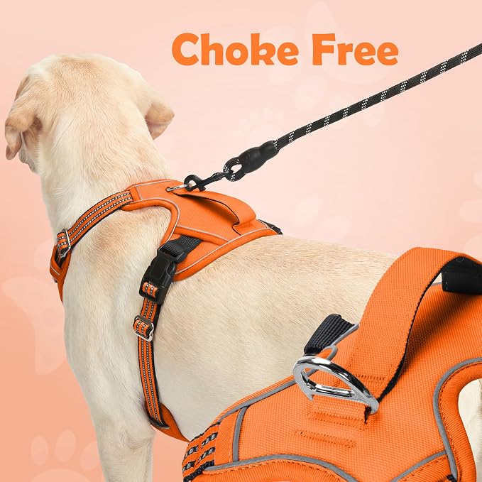 Dog Harness No Pull, Adjustable Pet Vest Harness, Super Soft Material with Vertical Handle Easy Control, Reflective Night Walking, 2 Leash Clips for Medium Sized Dogs, Orange, M - Image 4