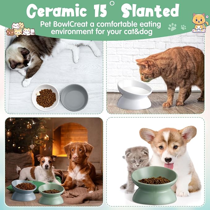 Hushee 4 Pcs Ceramic Raised Cat Food Bowls Elevated Tilted Dish Anti Vomiting Food or Water Bowls Pet Supplies - Image 5