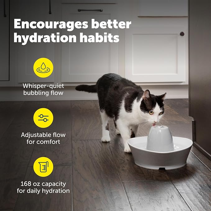 PetSafe Creekside Ceramic Pet Fountain, 60 Oz, Extra Filters | 60 Oz Capacity, Whisper-Quiet Flow, Includes 12 Extra Carbon & 2 Extra Foam Filters, Dishwasher Safe, Cats & Small Dogs - Image 4