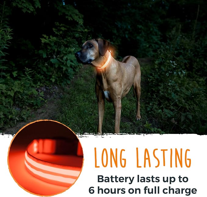 Mighty Paw LED Dog Collar - USB Rechargeable LED - High Visibility Glow Pet Strips - Weather Resistant - 3 Bright Light Modes for Nighttime Dog Safety - Collar USB (S, Orange) - Image 7