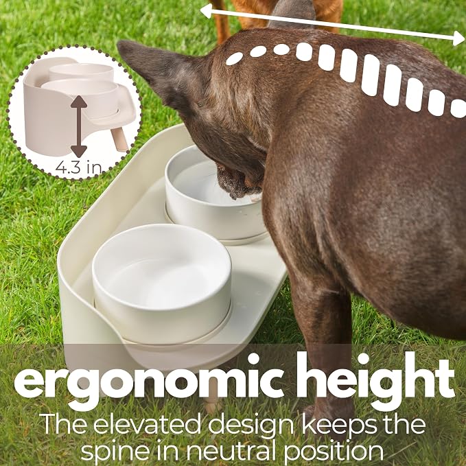 A4DOG Ceramic Dog Bowls with Stand - Elevated Dog Water and Food Bowl Set 13.5oz Cat & Dog Feeding Station Spill Proof Splash Proof Raised Pet Food Bowls for Dogs, No Mess Pet Feeder - Beige - Image 6