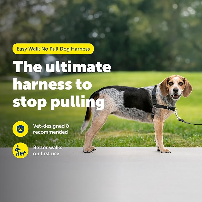 PetSafe Easy Walk Harness, No Pull Dog Harness, Black, Small/Medium | Patented Martingale Loop Gives Gradual Shoulder Pressure to Stop Pulling, Front-Chest Leash Clip Prevents Gagging - Image 2