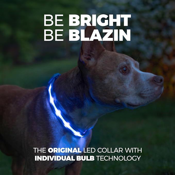 Blazin Light Up Dog Collar - The Original LED Dog Collar - USB Rechargeable - Waterproof - 1,000 Feet of Visibility - Dog Collar Light for Small, Medium, Large Dogs - USA Brand - Image 2