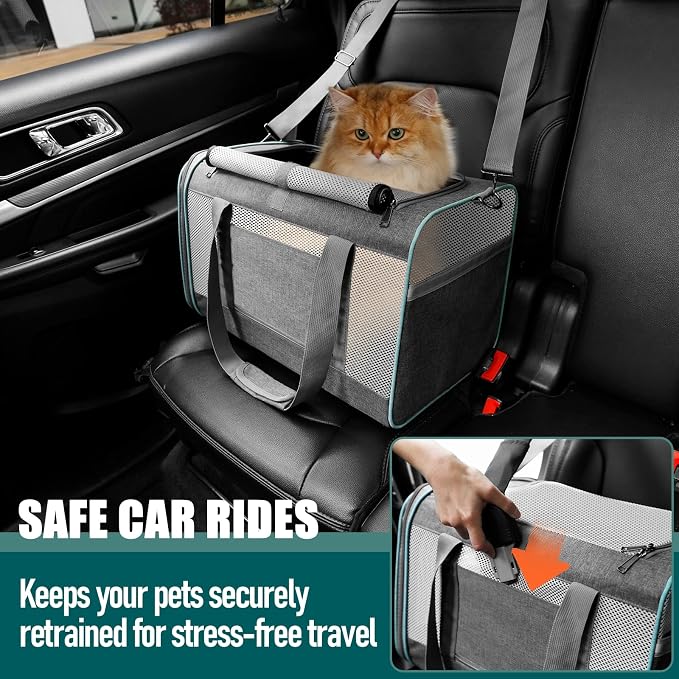GAPZER Large Cat Carrier Soft, Collapsible Travel Pet Carry Bag, Small Dogs | Large Cats up to 20 lbs+ Maine Coon, Top Load Transport Small Puppy Dog Crate, Chihuahua Mini Dog 10lbs, Sturdy Mesh Grey - Image 5