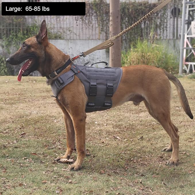 ICEFANG No Pull Tactical Dog Harness for Large Dogs,Adjustable Dog Vest | Control Handle,MOLLE Panel,Front Hook,3 Leash Clips,Soft Padded,for walking training,Grey,Large - Image 2