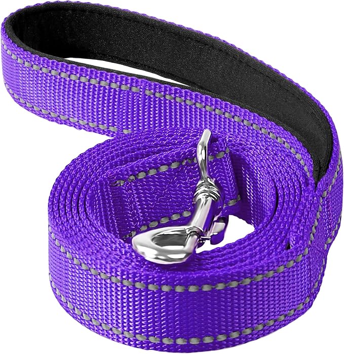 6FT Reflective Dog Leash, Padded Handle for Small Medium Dogs | Comfortable Nylon, Soft Handle Cushioning, Reflective Safety at Night, Walking Leash for Park & Hiking (3/4in, Purple) by Erbine