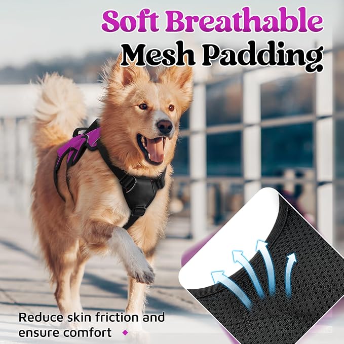 rabbitgoo Escape Proof Dog Harness for Large, No Pull with Lift Handle | No Escape, Full Soft Padded, Reflective Adjustable Vest, Leash Clip for Walking Hiking Training, Purple, Large - Image 6