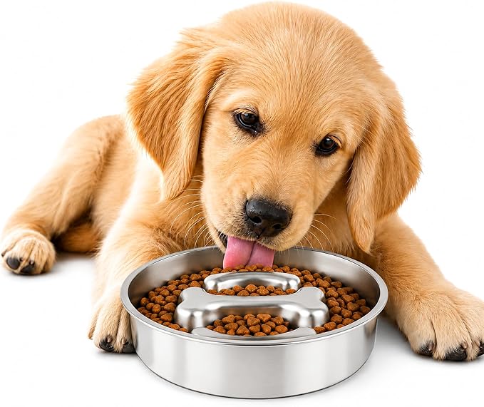 Slow Feeder Dog Bowl, Large Capacity 3-Cup 304 Stainless Steel Dog Food Bowl with Non-Slip Silicone Mat, Eco-Friendly, Slows Down Eating for Small, Medium & Large Dogs by Unknown