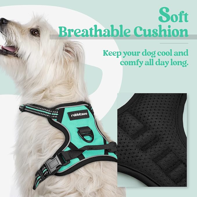 rabbitgoo Dog Harness, No Pull for Small Dogs with 2 Leash Clips, Pet Vest | No Choke with Handle, Adjustable Soft Padded, Reflective, Easy Control for Walking, Turquoise, X-Small - Image 2