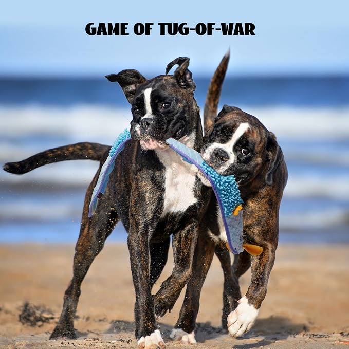 Nocciola EEL Squeaky Dog Toy, Tough No Stuffing Toy for Tug of War, Puppy Interactive Puzzle Fun to Keep Them Busy, Cognitive Crinkle Dog Toy for Large Medium Small Breed, Blue&Yellow - Image 6
