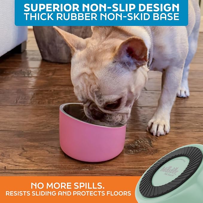 Master Pet Supply Stainless Steel Slanted Dog Cat Food Bowl 8 oz Pistachio | Heavy Duty Double Wall Insulated, Non-Slip Elevated Bowl for French Bulldogs, Pugs, Cats, Anti Rust, Dishwasher Safe - Image 5