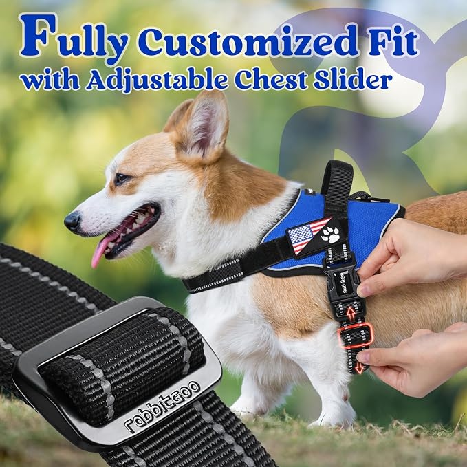 rabbitgoo No Pull No Choke Pet Vest, Adjustable Pet Harness with Molle | Large Sized Dog Harness, Reflective, Easy Wearing with One Buckle for Walking, Training, Blue, L - Image 5