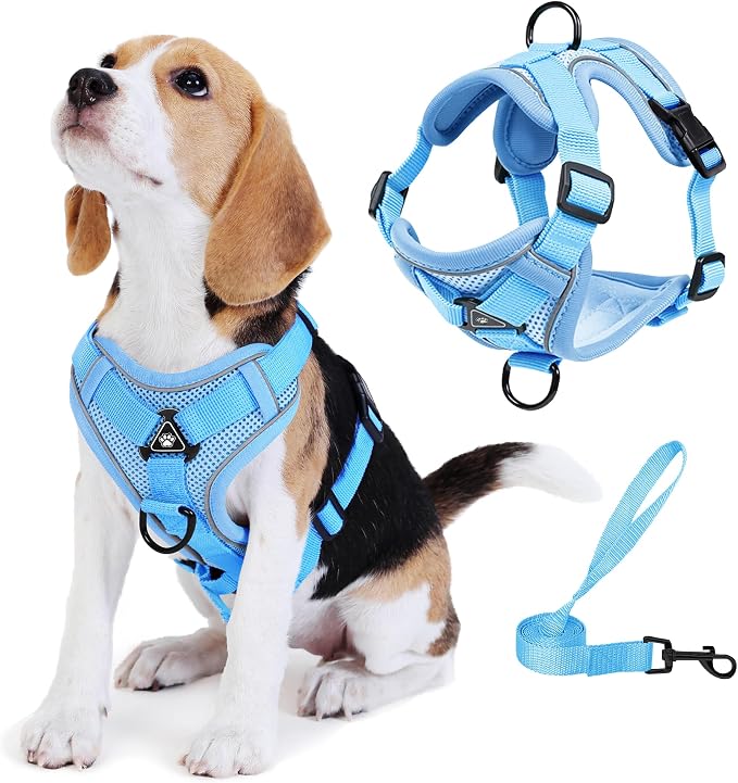 Dog Harness Medium Sized Dog Pet Vest with Leash Set Blue XL | Adjustable Puppy Vest Harness, No Choke No Pull, Soft Padded, Step-in Dog Vest, Reflective Cat Harness, Breathable Air Mesh by Unknown
