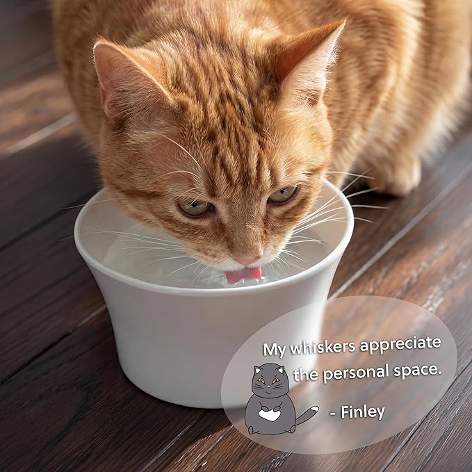Elevated Cat Bowls for Water – Whisker & Neck Fatigue Shallow Cat Dishes – Raised Bowl for Indoor Cats – Vet-Recommended Height, Food-Grade Melamine – Non-Slip & Dishwasher-Safe – 8 oz White - Image 4