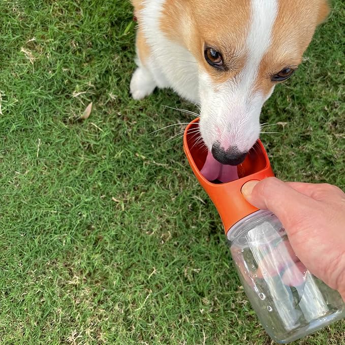 WePet Portable Dog Water Bottle, 12 OZ, Leak Proof Puppy Water Dispenser with Drinking Feeder for Pets Outdoor Walking, Hiking, Travel, Food Grade Plastic - Image 2