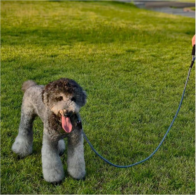 MayPaw Heavy Duty Rope Dog Leash, 3/4/5/6/7/8/10/12/15 FT Nylon Pet Leash, Soft Padded Handle Thick Lead Leashes for Large Medium Dogs (Navy, 1/2" * 6') - Image 6
