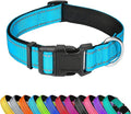 Reflective Dog Collar, Adjustable Soft Neoprene Padded,Sky Blue,XL | Breathable Nylon for Extra Large Dogs,Tear-Resistant Webbing,Chafe‑Free on Walks and Hikes,Metal D-Ring,Night Safety by PWOD