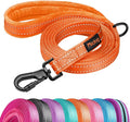 Didog 6FT Reflective Dog Leash for Medium Large Dogs,Slim 3/4" Width,Orange | Soft Padded Handle, Plush Comfort Grip, Tangle-Free, 360°Heavy-Duty Strengthened Clasp for Daily Walks/Training, Night Safety by Didog