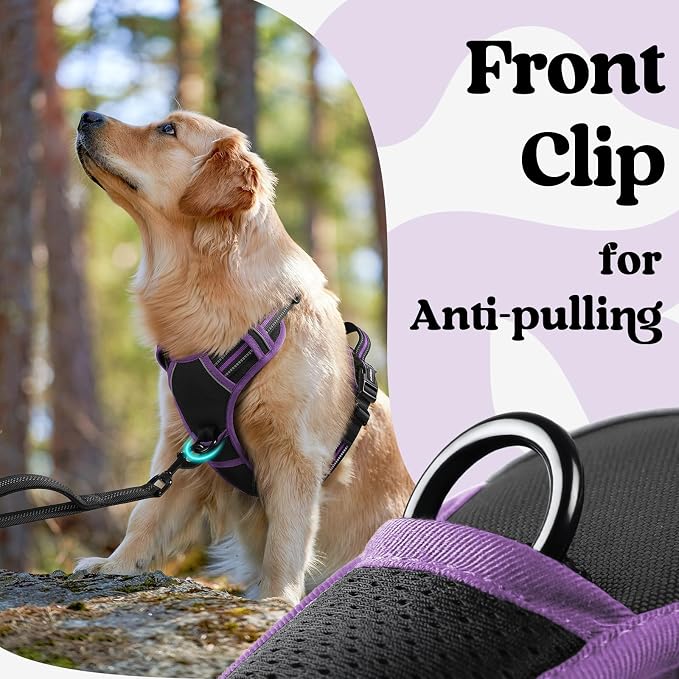 rabbitgoo Dog Harness for Large, Updated Easy On & Off with 3 Buckles | No Pull No Choke, Walking with 2 Clips and Handle, Adjustable Soft Reflective, Black & Purple, Large - Image 6