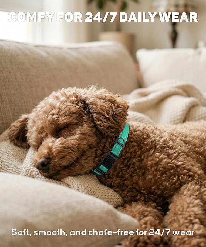 TagME Small Dog Collar, Reflective Puppy Collar, Royal Blue, 5/8" Width | Lightweight, Nylon Collar for Puppies and Small Dogs, Adjustable Length, 12 Color Choices, Reflective for Evening Walks - Image 4