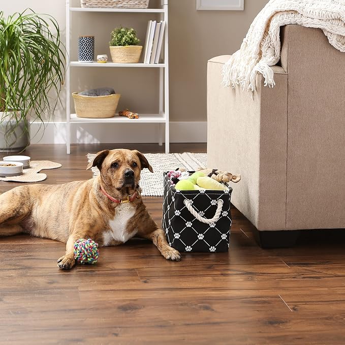 Bone Dry Pet Storage Paw & Bone Trellis, Small Rectangle 14x8x9, Black - Image 5
