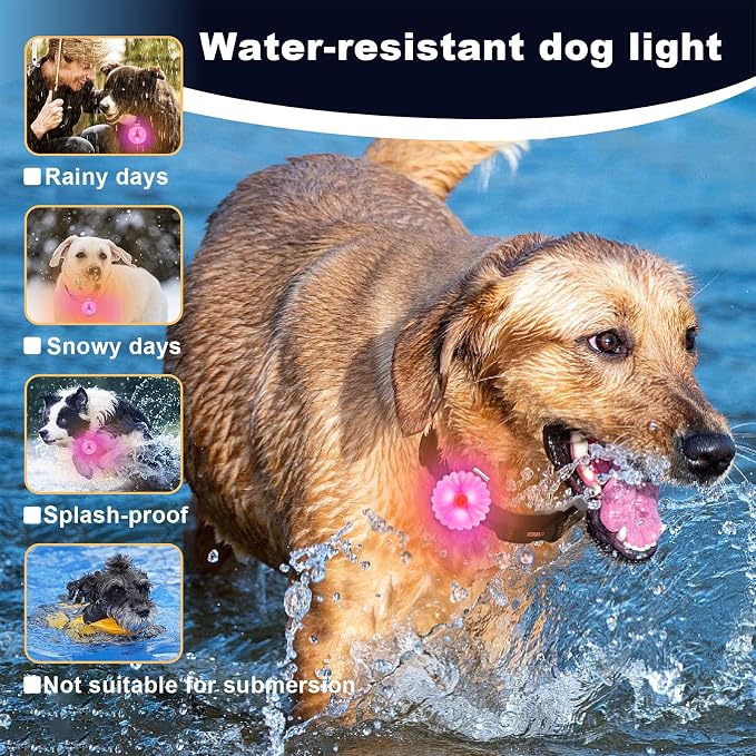 AHJ Dog Collar Light, 2 Pack Dog Safety Lights for Night Walking, USB-C Rechargeable Dog Light Clip-On LED for Kids' Backpacks, Dogs, Runners, Joggers, Cyclists, Camping & Hiking (Pink and Blue) - Image 3