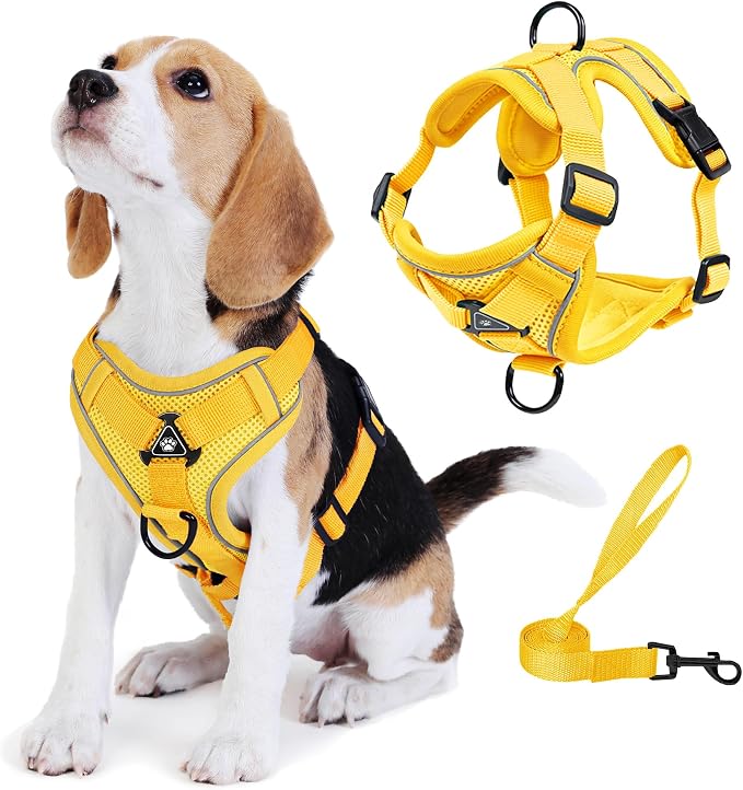 Dog Harness Medium Sized Dog Pet Vest with Leash Set Yellow L | Adjustable Puppy Vest Harness, No Choke No Pull, Soft Padded, Step-in Dog Vest, Reflective Cat Harness, Breathable Air Mesh by Unknown