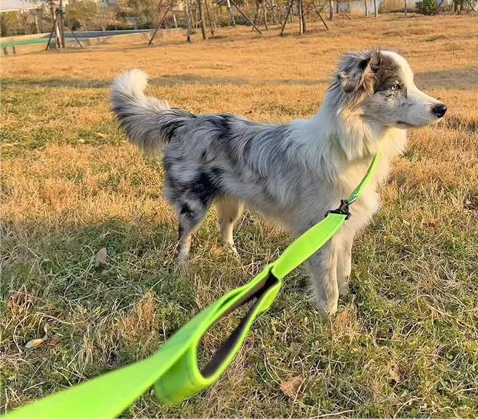 3 Handle Dog Leash 10FT Triple Handle Reflective Large Medium Dog | Multi Handles Heavy Duty Training Lead with Padded Traffic Handles for Control and Safety - Image 9