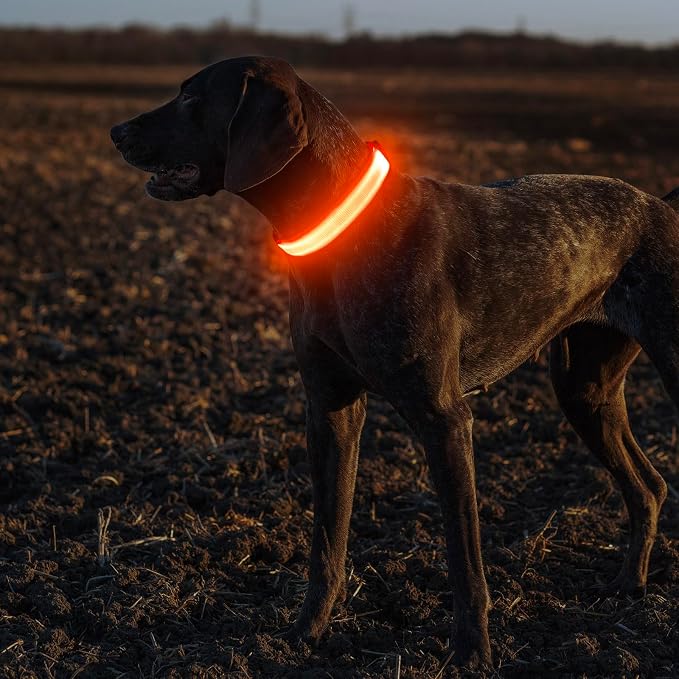 Illumifun LED Dog Collar, Adjustable Light Up Dog Collars, USB Rechargeable Water-Resistant Glowing Safety Collar Light (Orange, Small) - Image 6