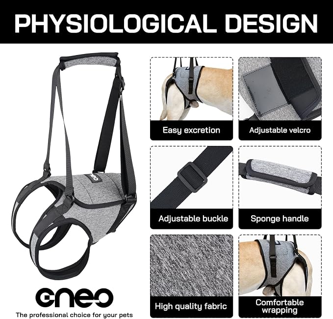 CNEO Dog Lift Harness, Dog Sling for Medium Large Dogs, Adjustable Dog Support Harness for Back Legs, Comfy Design Pet Harness with Padded for Elderly, Injured, Arthritic, Senior, Disabled Dogs - Image 3