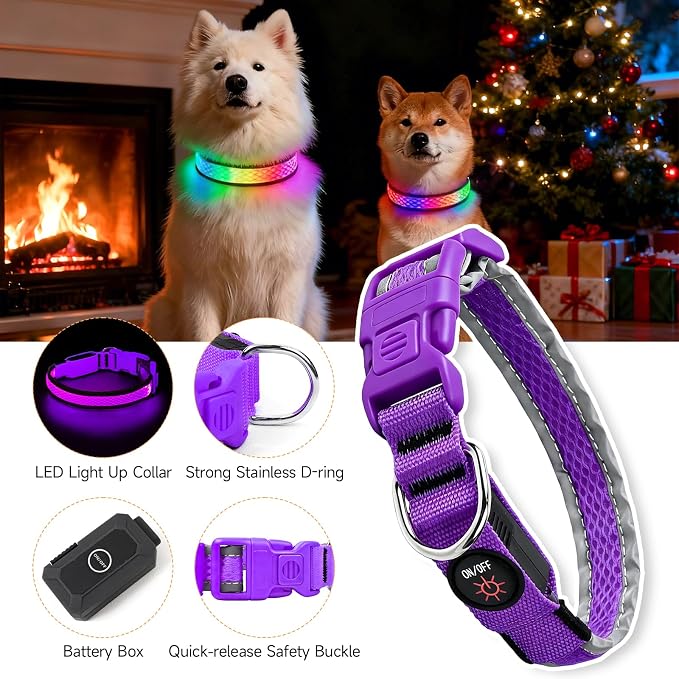 LED Dog Collar, Light Up Dog Collar,for Night Walking(Small,Purple) | Adjustable,Bright RGB 7 Colors Light Glowing Collar,Waterproof,Nylon,Soft,For Small and Medium Dogs,USB C to Charge - Image 6