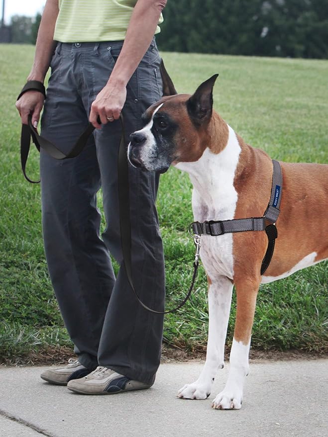 PetSafe Easy Walk Deluxe Dog Harness, No Pull Dog Harness – Perfect for Leash & Harness Training – Stops Pets from Pulling and Choking on Walks – Medium, Steel - Image 2