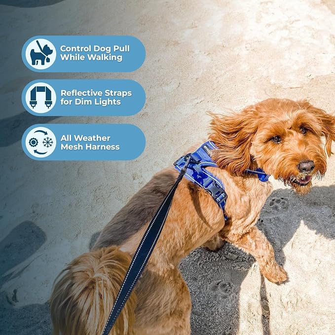 Voyager Dual Attachment No Pull Harness - Royal Blue, X-Small | 13 - 16" in Chest, No Pull Dog Harness, Fully Adjustable, 3M Reflective Technology, Front & Back D-Rings, Walking & Training - Image 7