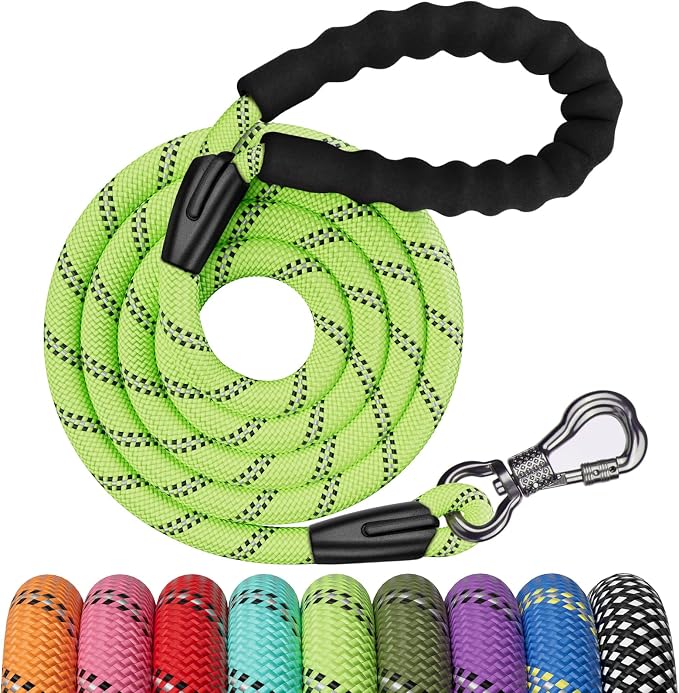 NTR 8FT Heavy Duty Dog Leash, Teal Rope Dog Leashes with Swivel Lockable Hook and Comfortable Padded Handle, Cat Puppy Leash Lead for Small Medium Large Dogs Training, Playing, Camping,or Backyard by NTR