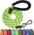 NTR 8FT Heavy Duty Dog Leash, Teal Rope Dog Leashes with Swivel Lockable Hook and Comfortable Padded Handle, Cat Puppy Leash Lead for Small Medium Large Dogs Training, Playing, Camping,or Backyard by NTR